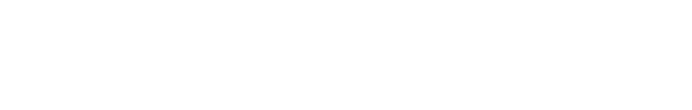 dokSAFE Logo