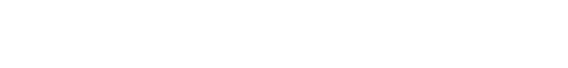 Fairforce Logo